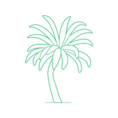 Plants Cycads Eastern Cape Giant Cycad Line Tracing Svg Vector, Free Vectors File